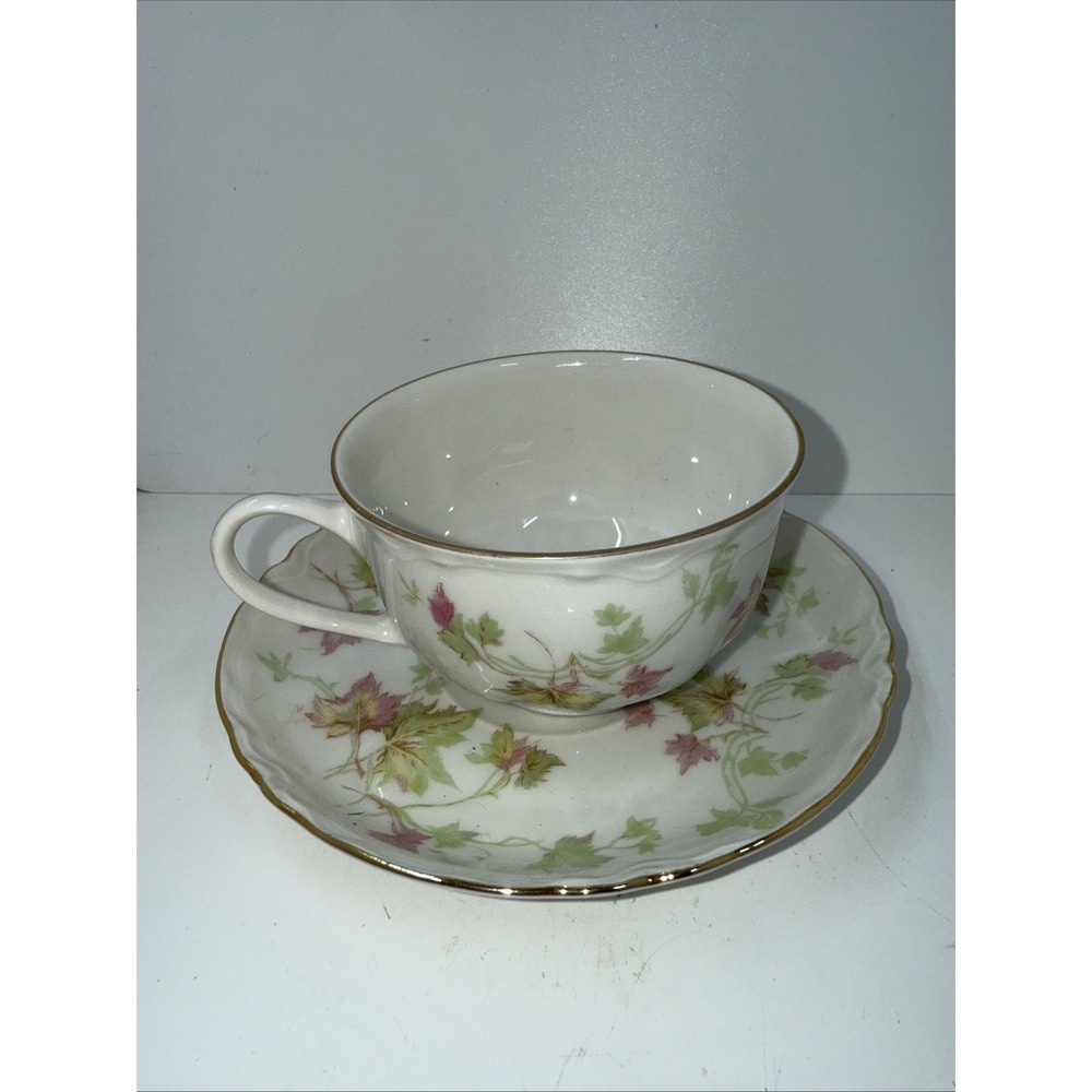 Hutschenreuther Maple Leaf Cup And Saucer Set